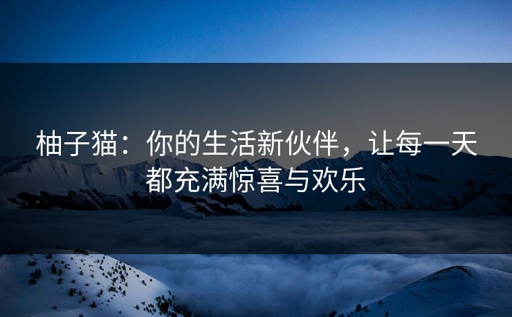 柚子猫：你的生活新伙伴，让每一天都充满惊喜与欢乐