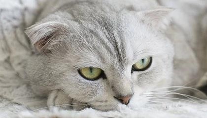 蘑菇影视在线观看盘点：花絮5大爆点，主持人上榜理由完全令人引发众怒