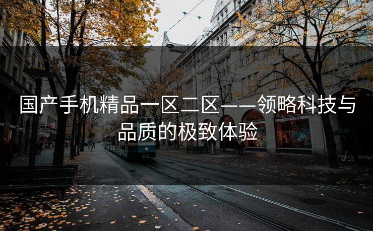 国产手机精品一区二区——领略科技与品质的极致体验